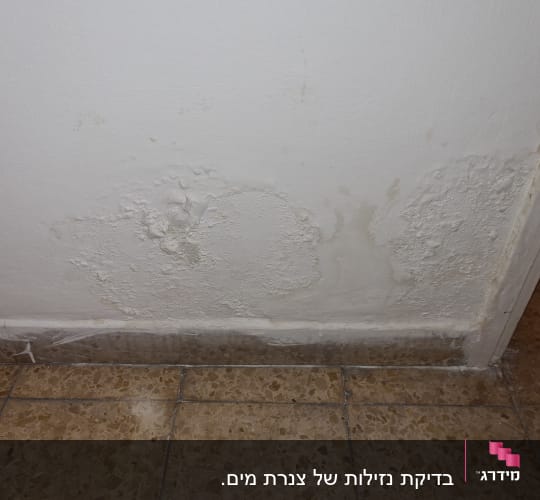 בדיקת נזילות של צנרת מים.